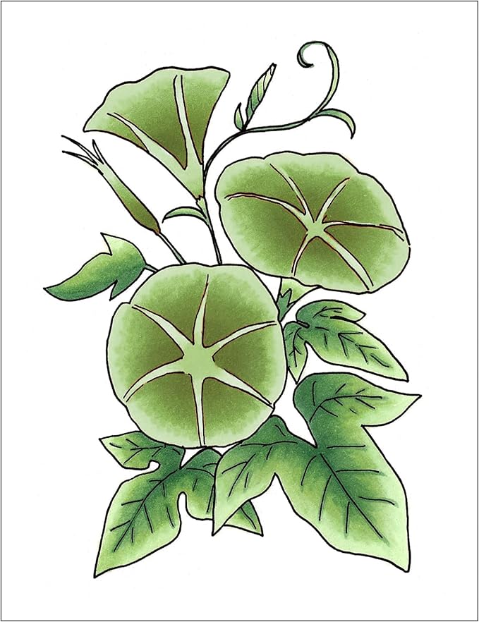 Copic Sketch Fusion #5 Green 3-Color Refillable Dual-Tip Alcohol Markers