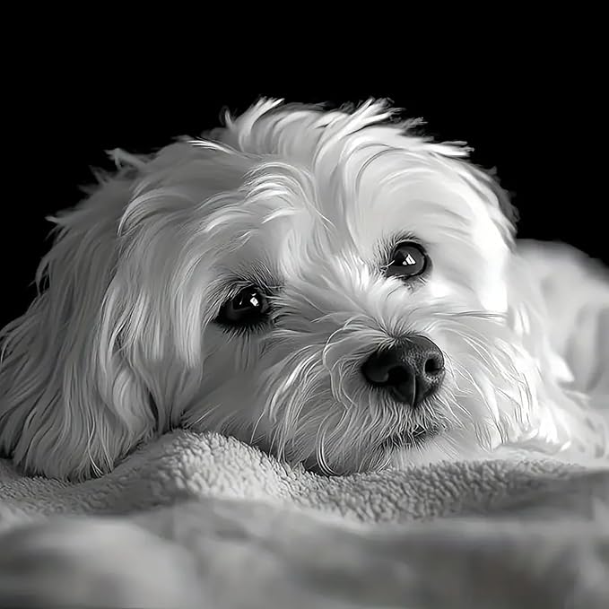mrpwnle Diamond Art Kits for Adults, Cute Dog Diamond Painting Kits | White Dog Diamond Art Painting Kits for Adults Beginners, DIY Full Round Drill Gem Art Crafts Kit for Home Decor 12x2 inch