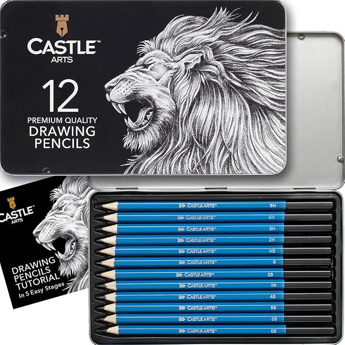 Castle Art Supplies 12 Piece Graphite Drawing Pencils Kit for Adults | For beginner to advanced adult artists - compact, sturdy, attractive metal case with tutorial included, easy to carry