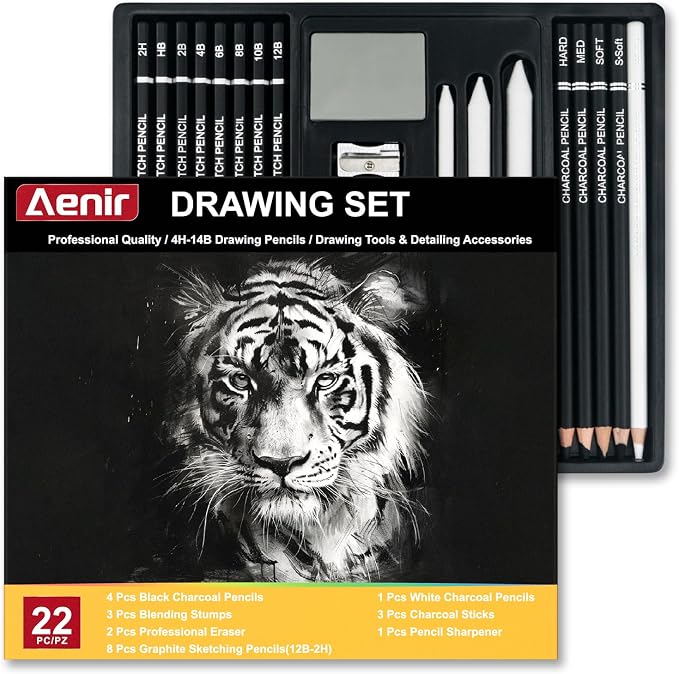 Aenir Charcoal Pencils for Drawing, 22-Piece Sketch Pencils for Drawing Set | Drawing Pencils for Sketching, Shading, Charcoal Art Supplies for Kids, Teens, Adults, Art Students, Beginners & Pro Artists.