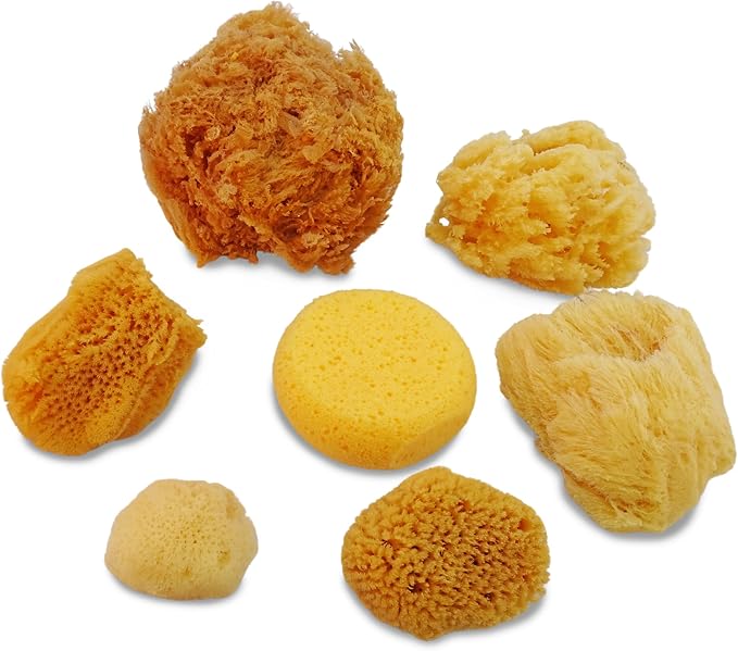 Natural Sea & Synthetic Sponges 7pk, Assorted Sizes, Painting & Crafts