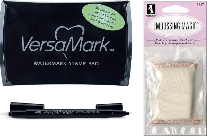 Basics: VersaMark Watermark Ink Stamp Pad, Versamarker, Inkadinkado Embossing Powder Tool and Ranger Embossing Powder Clear