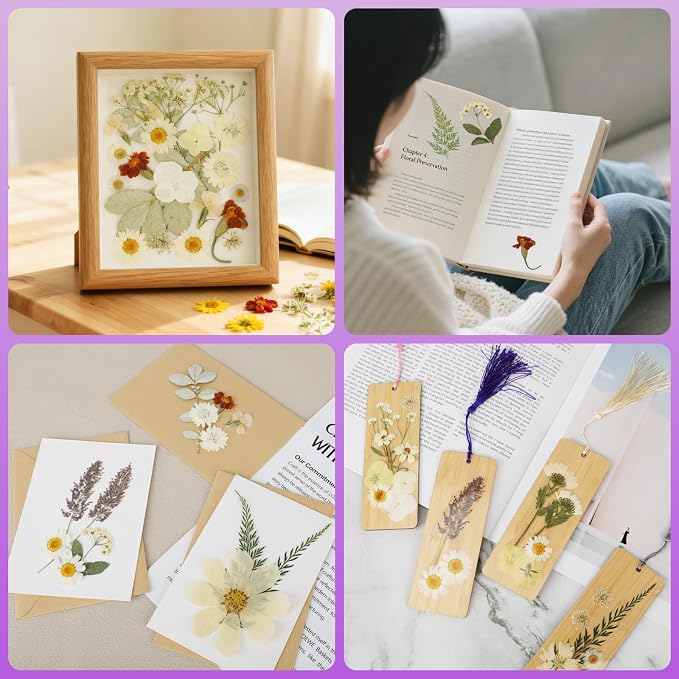 NESCCI 247 Pcs Dried Flowers for Crafts,Real Natural Dried Pressed Flowers in Soft Yellow & White Tones for Resin,Used for Scrapbooking DIY Art Crafts Candle Soap Making Nails Décor
