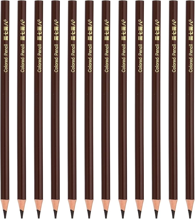 PATIKIL Coffee Colored Pencils Set,12 Pcs Oil Color Pencils Wooden Coloring Drawing Pencil for Artists Art Painting