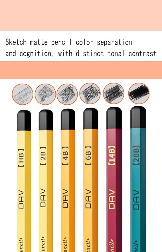 Pencil Set for Drawing,Sketching Pencils,Artist Pencils,Drawing Supplies For Adults,Matte Pencil:HB, 2B, 4B*2, 6B*2, 14B*2, 20B*2.(C.10 pieces)