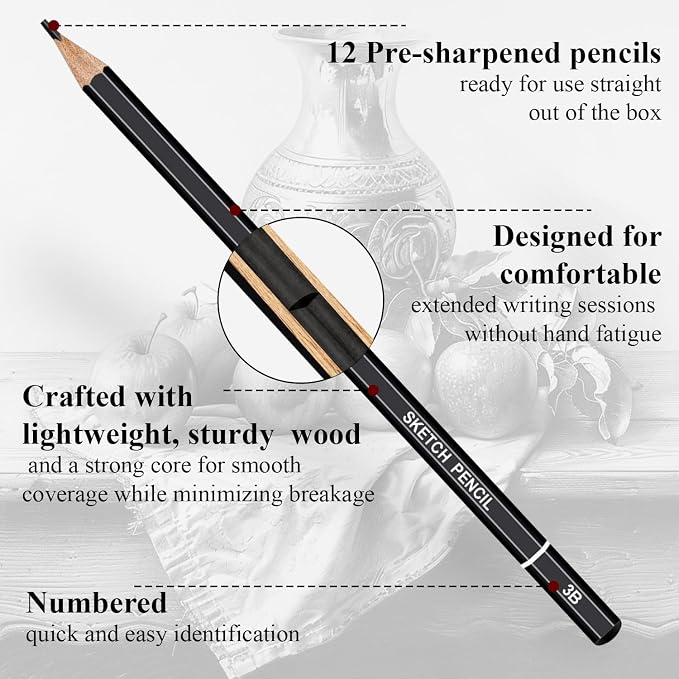 Aenir Drawing Pencils for Sketching, Set of 12 Sketch Pencils, 6B-4H | Art Supplies for Beginners & Artists: Art Pencils for Sketching Projects, Graphite Pencils for Drawing and Shading