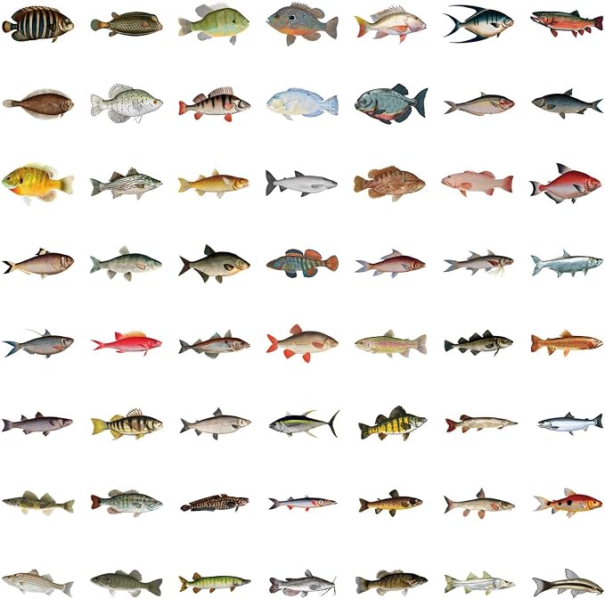 110 Pcs Funny Fish Stickers for Teens Boy Girls Kids Deep-Sea Fish Stickers Vinyl Waterproof go Fishing Decals Pack for Party Supplies (Fish)
