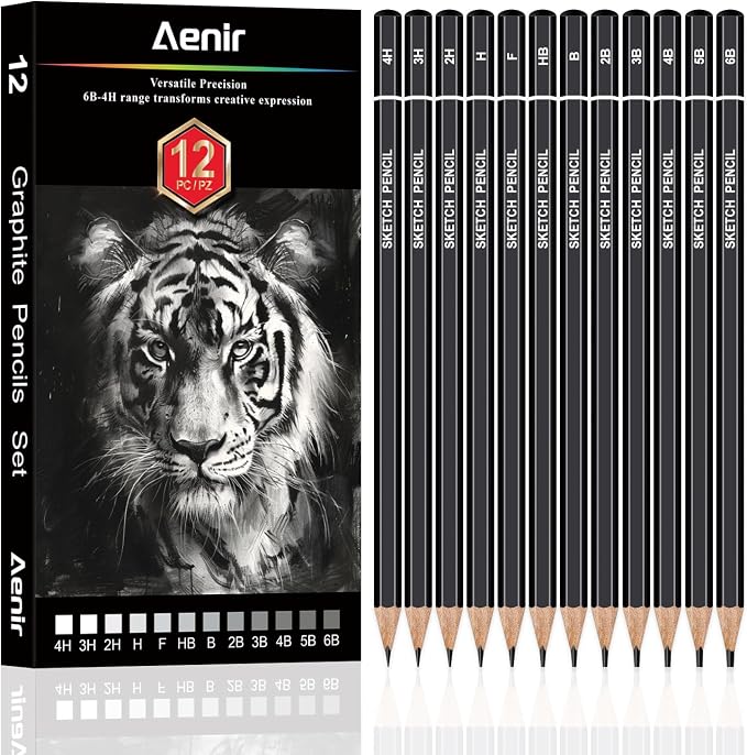 Aenir Drawing Pencils for Sketching, Set of 12 Sketch Pencils, 6B-4H | Art Supplies for Beginners & Artists: Art Pencils for Sketching Projects, Graphite Pencils for Drawing and Shading