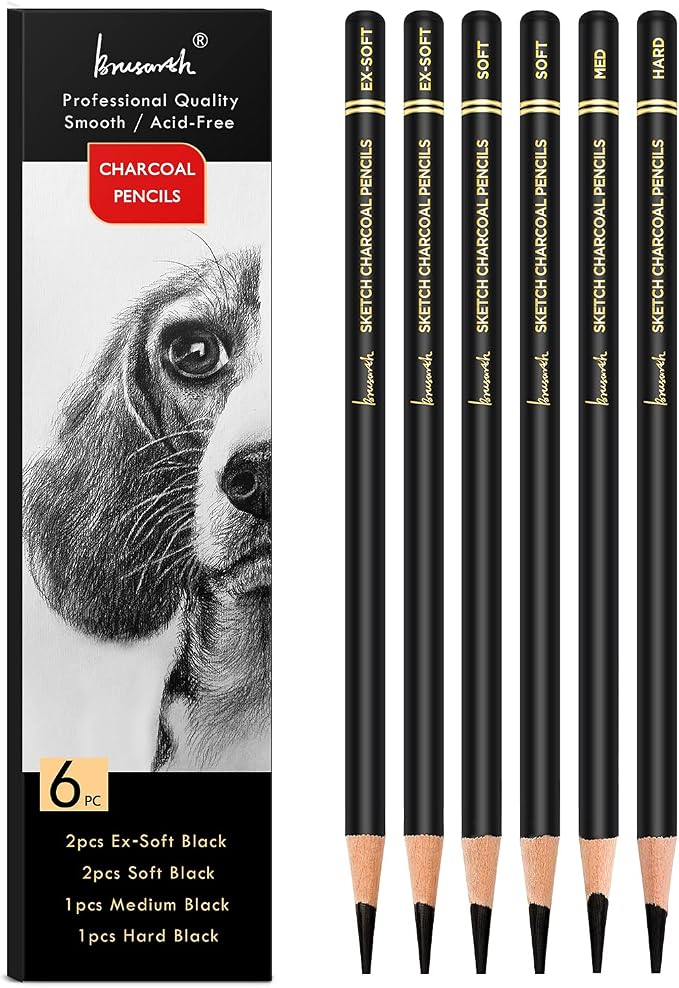 Brusarth Professional Charcoal Pencils Drawing Set - 6 Pieces Soft Medium and Hard Charcoal Pencils for Drawing, Sketching, Shading | Soft Medium and Hard Charcoal Pencils for Drawing, Sketching, Shading, Charcoal Pencils for Beginners & Artists