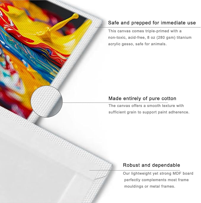 AETEXA Canvases for Painting 8x10 Inch, Canvas Bulk Pack of 12, 8 oz Primed Canvas Panel, Blank Canvas for Painting, Canvas Boards for Painting Acrylic and Oil, Art Supplies for Adults and Teens.