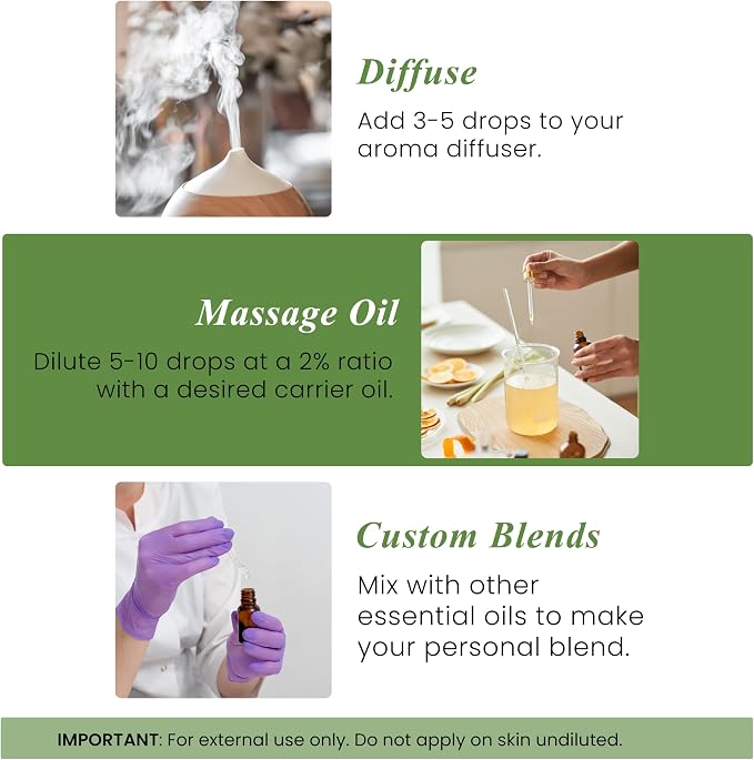 Handcraft Blends Rosemary Essential Oil – 0.33 Fl Oz – 100% Pure and Natural – Premium Grade Essential Oil for Diffuser and Aromatherapy, Skin, Massage, Candle and Soap Making Fragrance