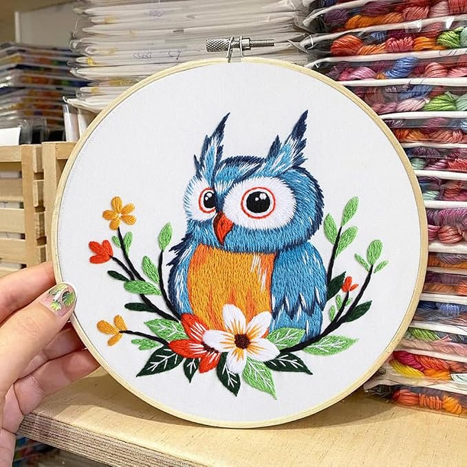 COCOMOX Embroidery Kit for Beginners, Hand Craft Practice Embroidery Kits | Owl pattern, Easy