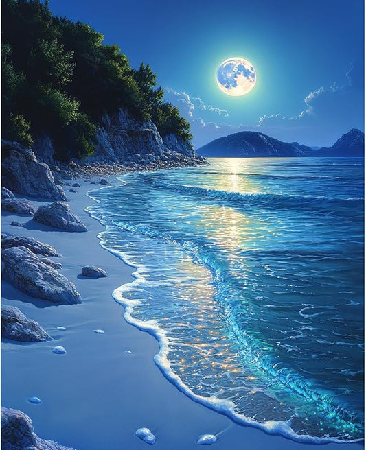 Beach Moonlight Paint by Numbers Kit for Adults Beginner Ocean Oil Painting Kit Adult Paint by Number Kits on Canvas Moon DIY Painting for Beginners Art by Numbers for Gifts Home Wall Decor 16x20 Inch