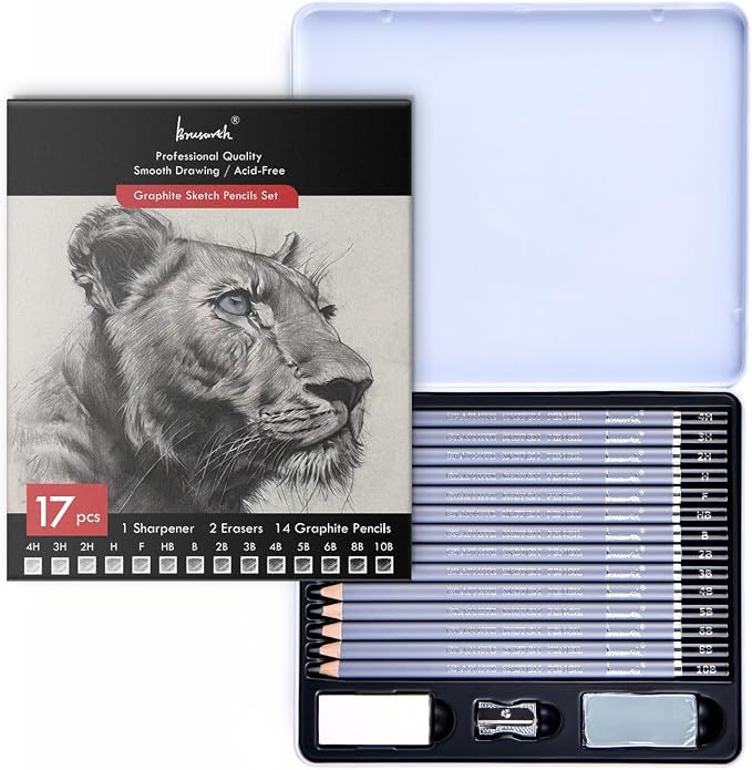 Brusarth Professional Sketch Graphite Pencils for Drawing Set,17 Pcs | Graphite Pencils (4H-10B) for Artists and Beginners, Graphite Sticks,Erasers,Sharpener, Art Pencils for Sketching