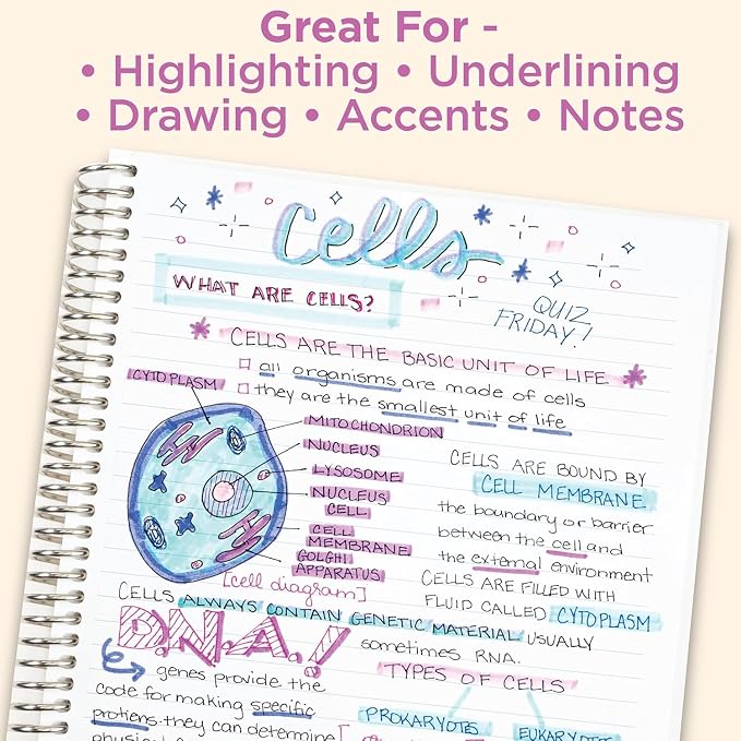 Zebra Pen MILDLINER No Bleed Highlighter, Assorted Colors, Dual Tip, 25-Pk | Broad and Fine Point Tip Marker Set, Ideal for Bible Highlighting, Journaling, School Supplies, Includes Carrying Case, 78025