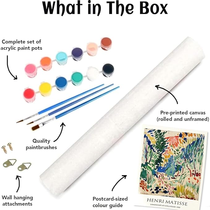 3Pack Cute Matisse Paint by Numbers Kit for Adults Beginner (Without Frame)
