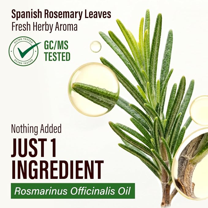 100% Pure Rosemary Essential Oil for Hair, Undiluted - 4 Fl Oz | Scalp and Skin Care, Organic, Steam Distilled Spanish, GC/MS Tested, Glass Bottle, for Diffuser, Aromatherapy, 3-6 Mo Supply