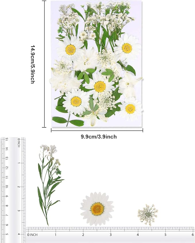 Augshy White Dried Pressed Flowers,Real Natural Dried Flowers Colorful Pressed Flowers for Resin Mold Jewelry Art Craft DIY