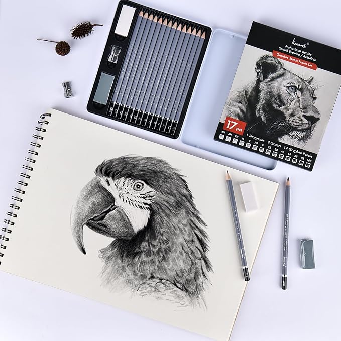 Brusarth Professional Sketch Graphite Pencils for Drawing Set,17 Pcs | Graphite Pencils (4H-10B) for Artists and Beginners, Graphite Sticks,Erasers,Sharpener, Art Pencils for Sketching