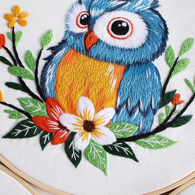 COCOMOX Embroidery Kit for Beginners, Hand Craft Practice Embroidery Kits | Owl pattern, Easy
