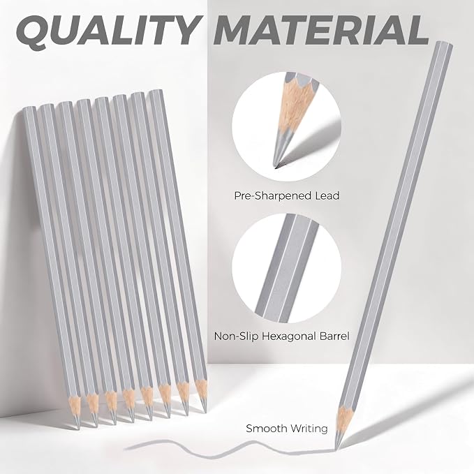 20 PCS Silver Colored Pencils, Pre-sharpened Professional Wooden Art Pencils Set for Artists Painting | Premium Drawing Sketching Supplies