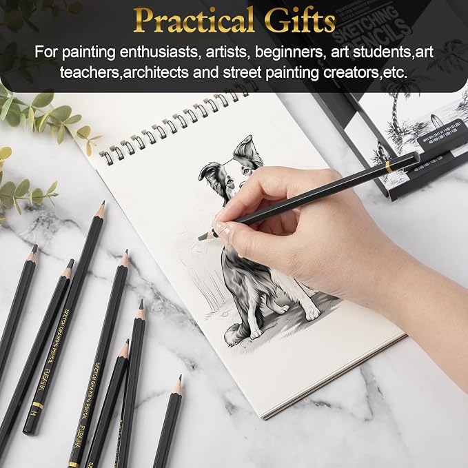 36 Pcs Sketching Pencils, 12B-4H Graphite Drawing Pencils | Art Set for Artists Beginners, Bulk Supply for Studios, Charcoal Graphite Blend, Shading Sketching, Gift-ready Packaging