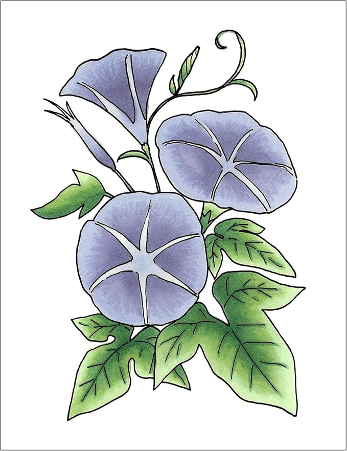 Copic Sketch Fusion #1 Purple 3-Color Refillable Dual-Tip Alcohol Markers
