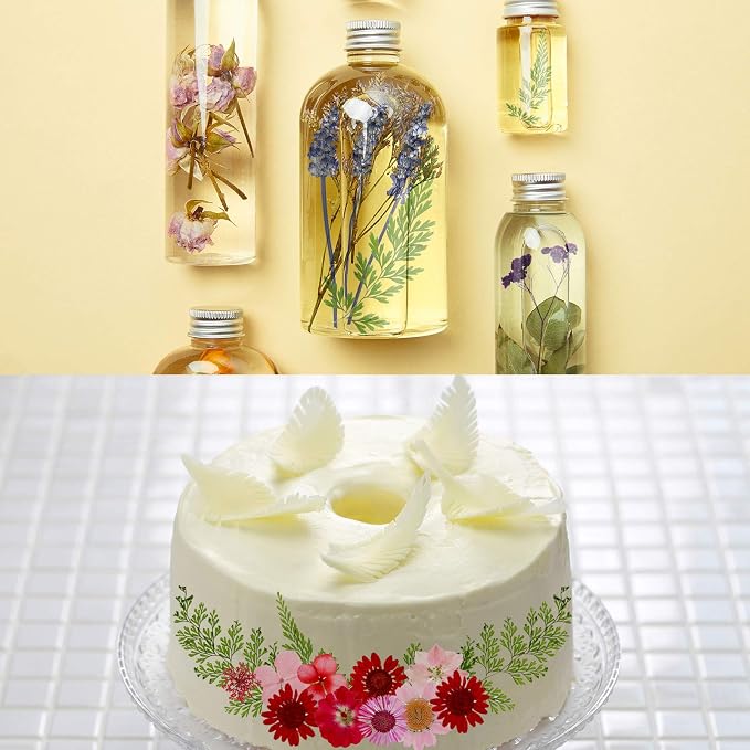 Nuanchu Dried Pressed Flowers for Resin,Classic Style,Bright Colors