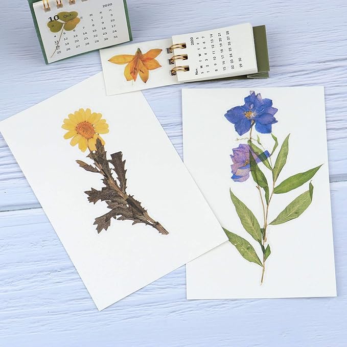 160pcs Transparent Floral & Plant Stickers for Scrapbooking