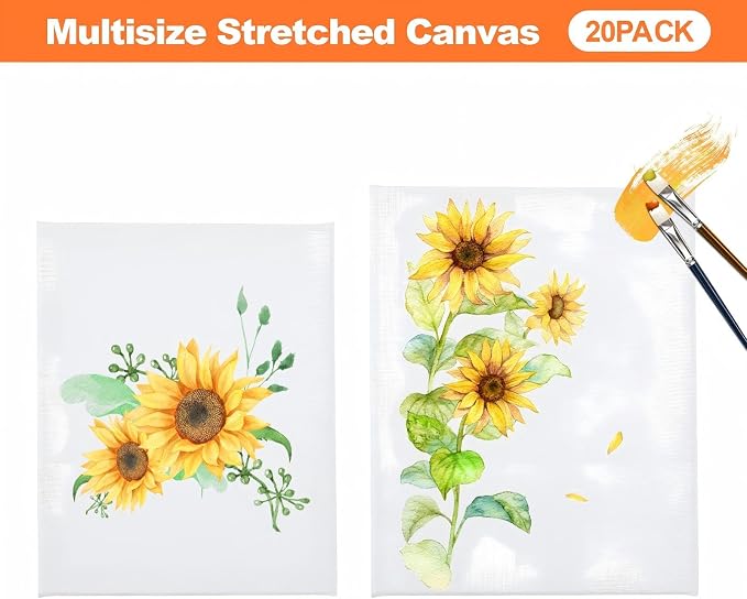 20 Pack Stretched Canvas Boards for Painting, 100% Cotton Canvas, for Acrylic and Oil Painting.