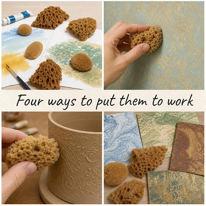 Natural Sea Sponges 10pk for Artists, 2"-4" Unbleached, Painting & Crafts