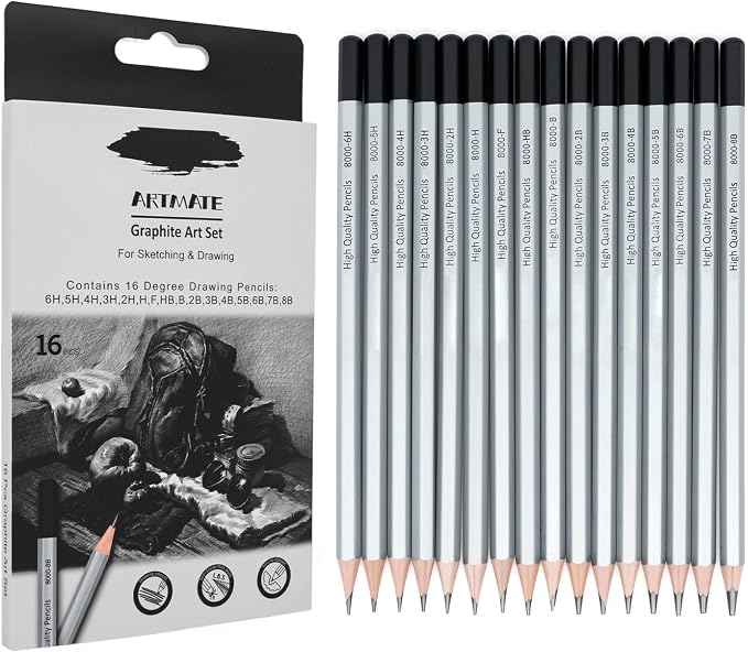 16 Pieces Graphite Sketching Pencils Set (8B-6H), Sketch Pencils for Drawing, Shading and Drafting, Art Supplies Kit for Artists, Adults