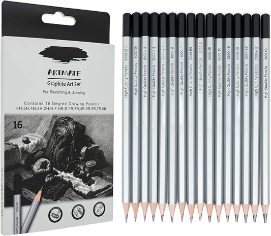 16 Pieces Graphite Sketching Pencils Set (8B-6H), Sketch Pencils for Drawing, Shading and Drafting, Art Supplies Kit for Artists, Adults