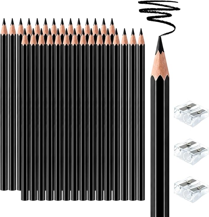 30 PCS Black Colored Pencils, Pre-sharpened Professional Wooden Art Pencils Set for Artists Painting | Premium Drawing Sketching Supplies