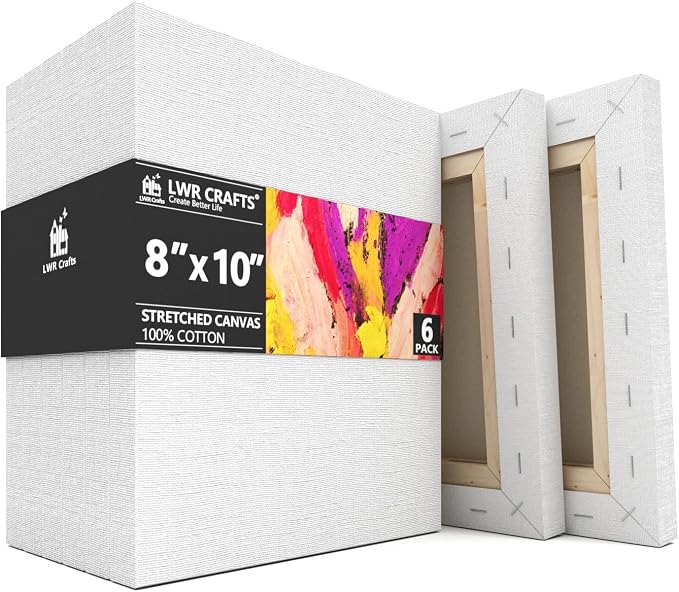 LWR CRAFTS Stretched Canvas 8" X 10" Pack of 6