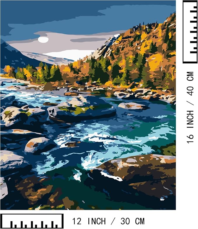 BAISITE Paint by Numbers Kit for Adults Beginners,12" Wx16 L 2 Pack Canvas for Painting Kits for Adults in Colorful Box-BAIPBN605-606