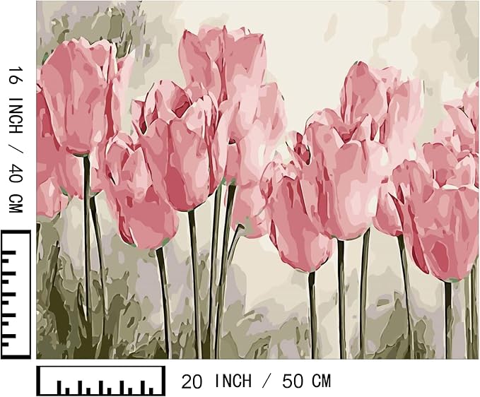 BAISITE Paint by Numbers Kit for Adults Beginners,20" Wx16 L Canvas for Painting Kits for Adults in Colorful Box Poppy Flowers-BSC002-Already Stretched on a Wooden Frame