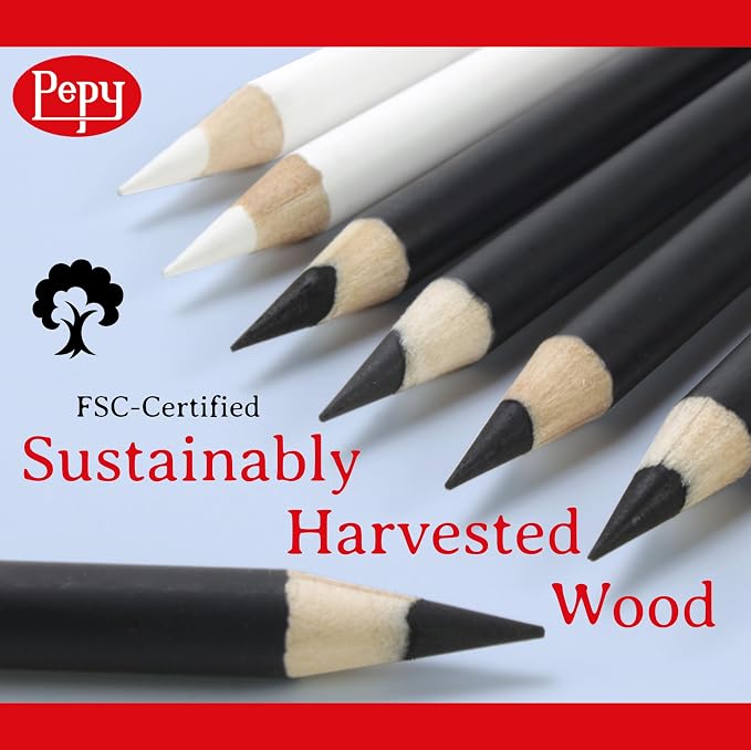 Pepy Professional Soft Charcoal Pencil Set – Set of 6 Pre-Sharpened Black Charcoal Pencils; Perfect for Drawing, Sketching, Blending and Shading