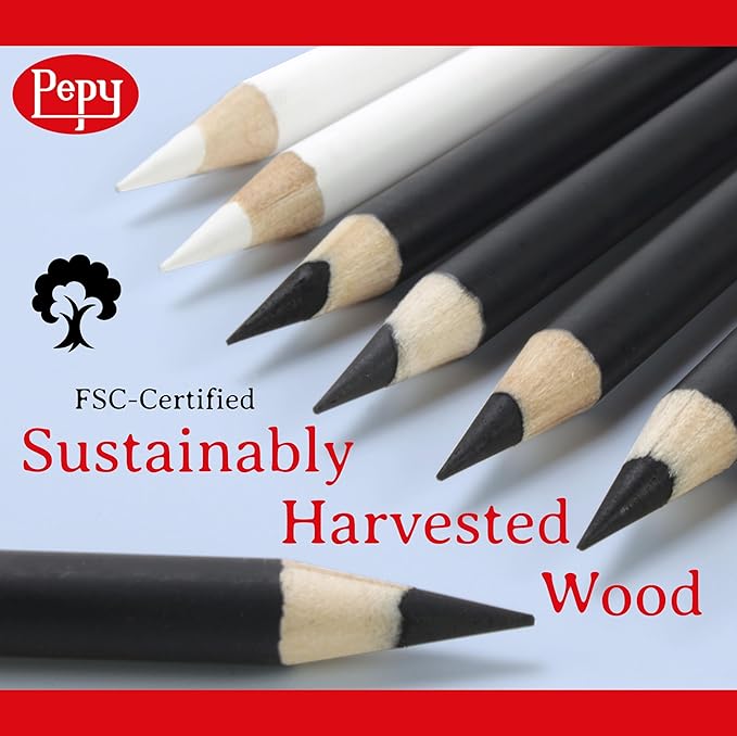 Pepy Professional Medium Charcoal Pencil Drawing Set – Set of 6 Pre-Sharpened Black Charcoal Pencils; Perfect for Drawing, Sketching, Blending and Shading