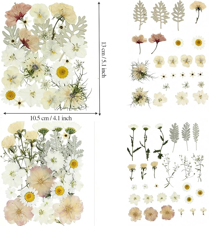 100PCS Stylifeo Natural Dried Pressed Flowers Leaves for Resin Molds Crafts