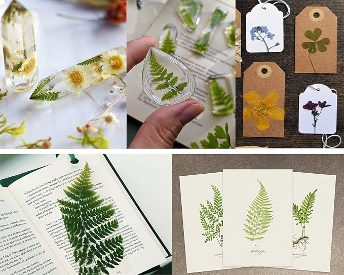 85PCS Real Green Dried Pressed Leaf Leaves, 28 Styles Greeny Mixed
