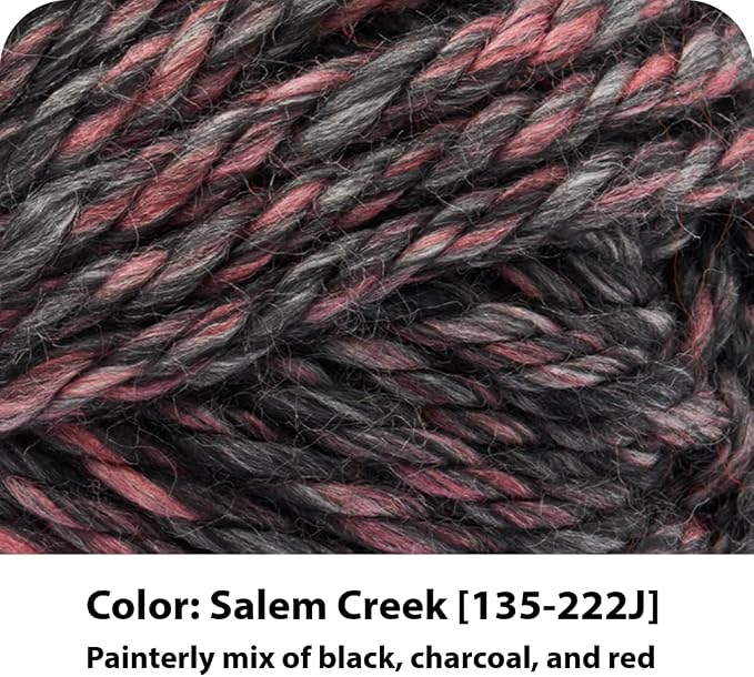 Lion Brand Yarn 135-222 Hometown Yarn, Salem Creek (1 skein)