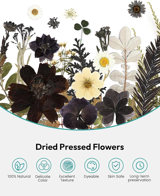 Dried Flowers, Resiners 100Pcs Pressed Flowers for Craft Black Real Natural Dried Flowers Dry Leaves Kit for DIY Making Crafts Resin Soap Candle Scrapbook Supplies Card Making Jewelry