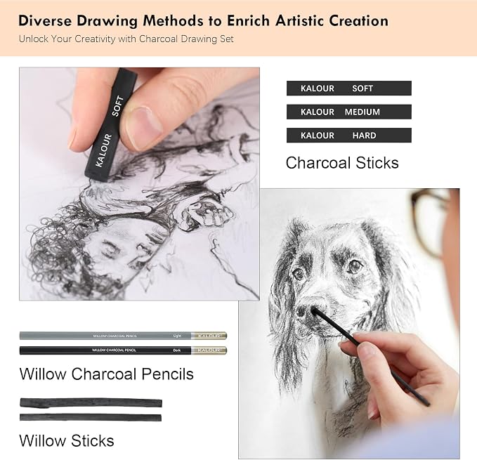 KALOUR PDAS 22pcs Charcoal Drawing Set, Professional Art Supplies, Black & White Charcoal Pencils for Drawing, Sketching, Shading, Blending, Artist Pencils for Beginners & Pro Artists