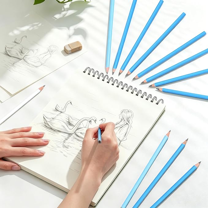 12 Graphite Pencils Professional Sketching Drawing Set,No Duplicates | 14B(soft) to H(hard),Charcoal Pencils,Art Supplies for Sketching Shading Blending, Gifts for Artists Adults Beginners