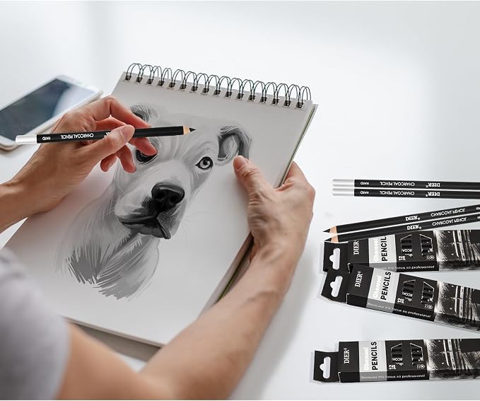Geyoga 36 Pcs Professional Charcoal Pencils Bulk Classroom Set Soft, Medium and Hard for Drawing Charcoal Pencils for Sketching Shading Drawing Blending Portrait(Black,Assorted)