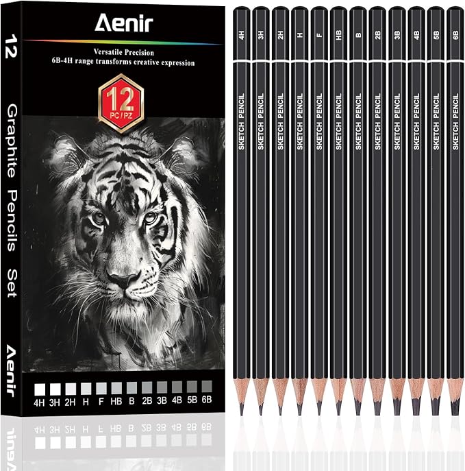 Aenir Drawing Pencils for Sketching, Set of 12 Sketch Pencils, 6B-4H | Art Supplies for Beginners & Artists: Art Pencils for Sketching Projects, Graphite Pencils for Drawing and Shading