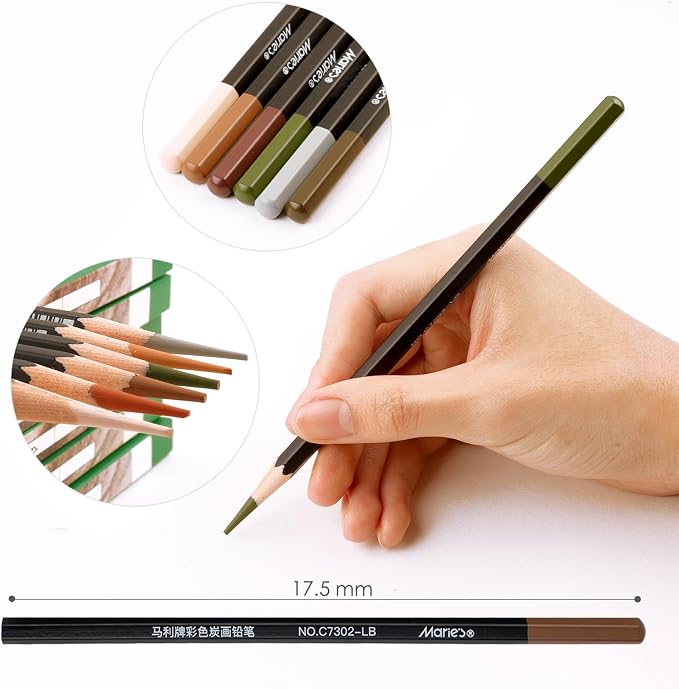 Marie's Professional Charcoal Drawing Set - Premium Artist Sketching Pencils for Portraits & Fine Art - Ideal for Professional Artists & Studio Creation(Grey)