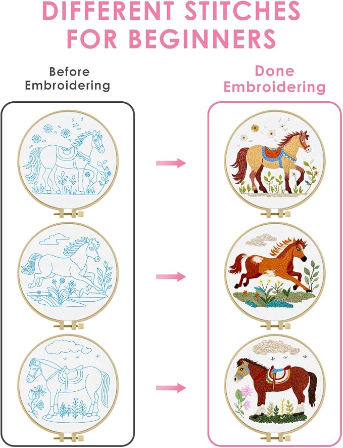 TINDTOP Embroidery Kit for Adult, 3 Pack Embroidery DIY Starter Kit