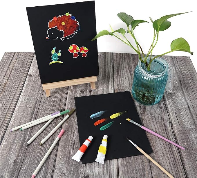 CONDA Black Canvases for Painting, Canvas Panels 8x10 inch, Pack of 14, 100% Cotton Acid-Free, 8 oz Gesso-Primed, Art Boards for Oil & Acrylic Painting